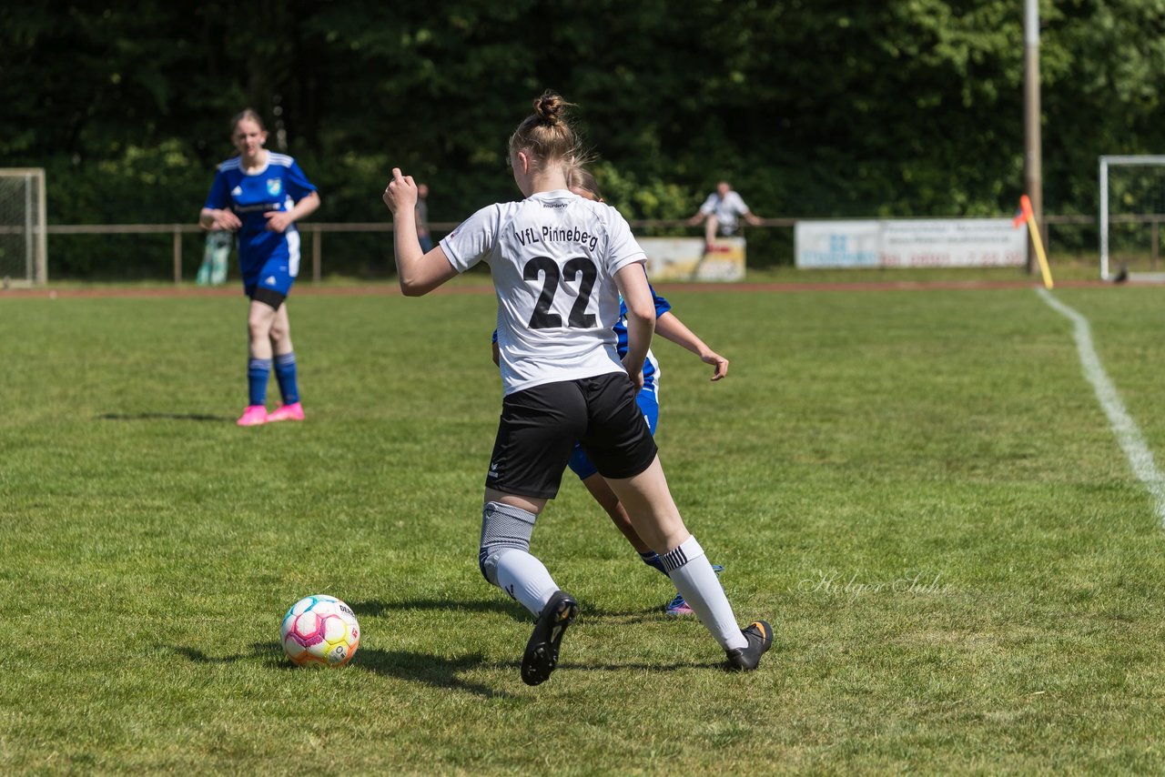 Bild 114 - wBJ VfL Pinneberg - Harksheide : Ergebnis: 2:1